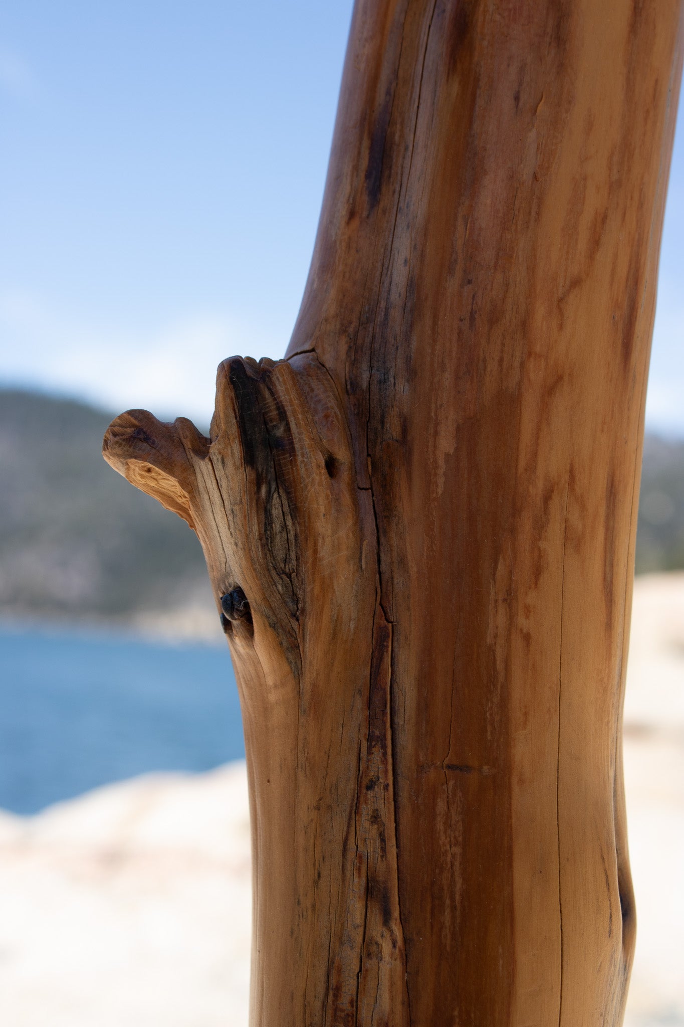 Semi-Circle Natural Wood Side Table