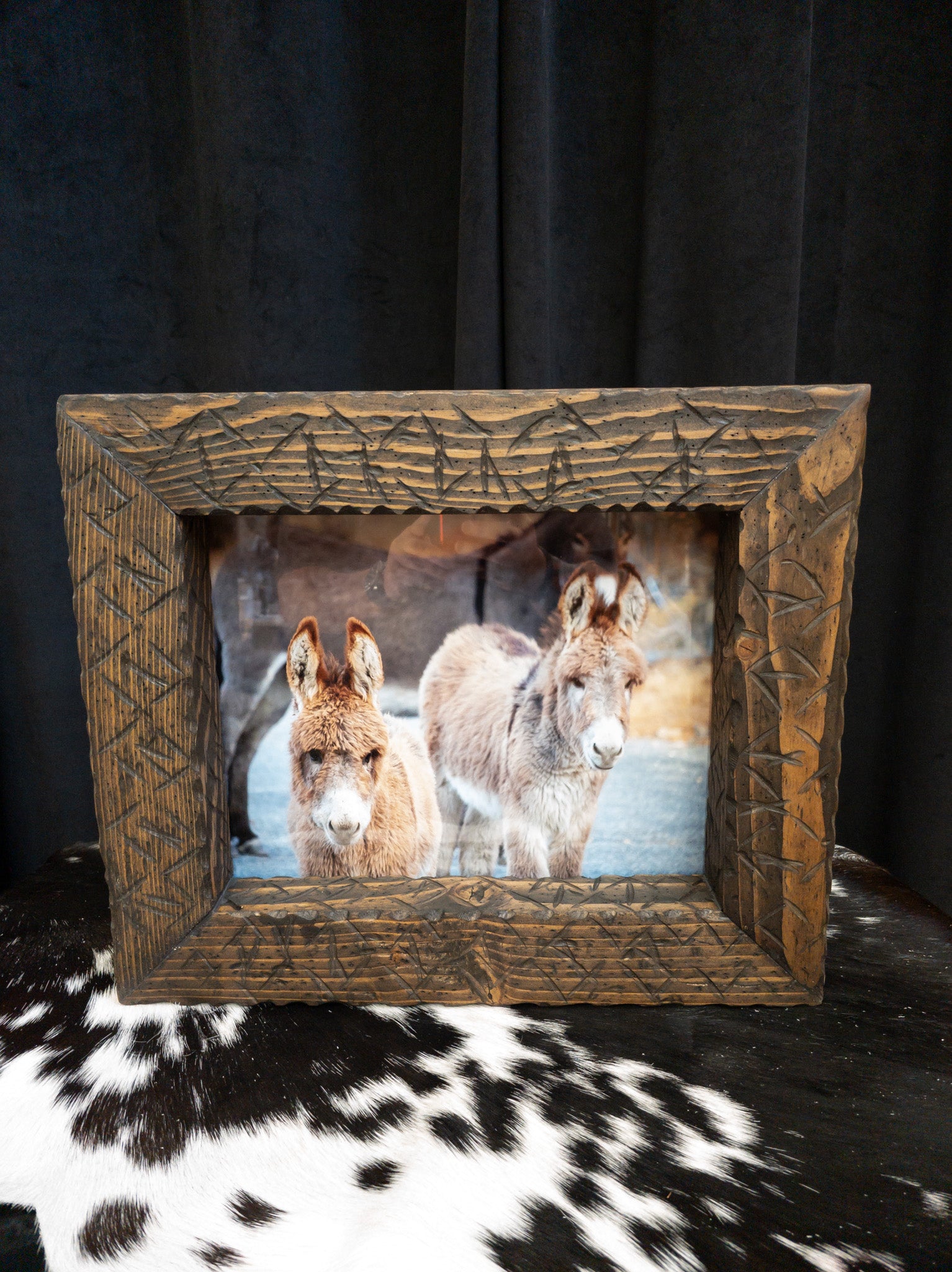 Original Photo of 3 Burros in Big Bear California