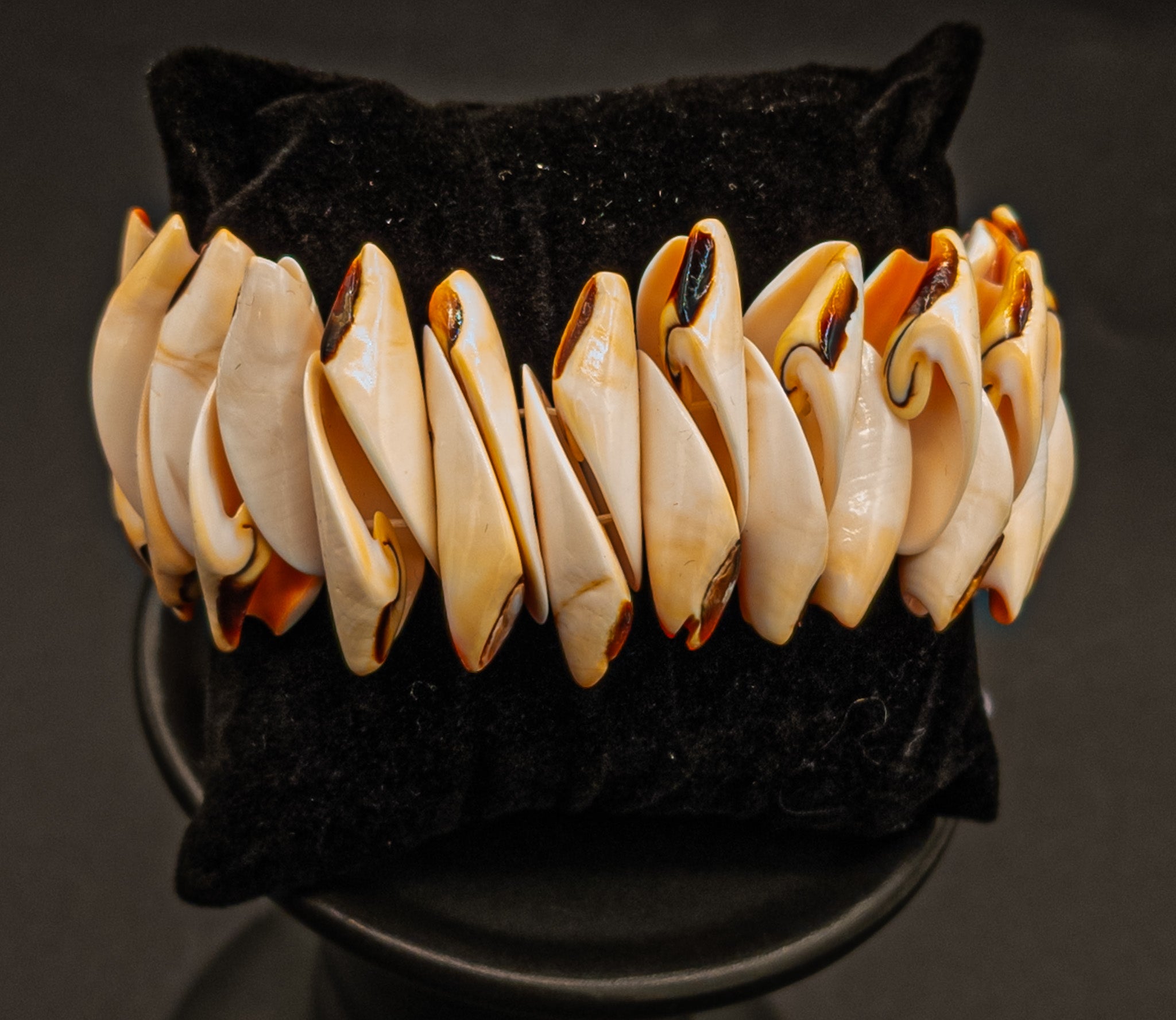Conch Shell Stretch Bracelet
