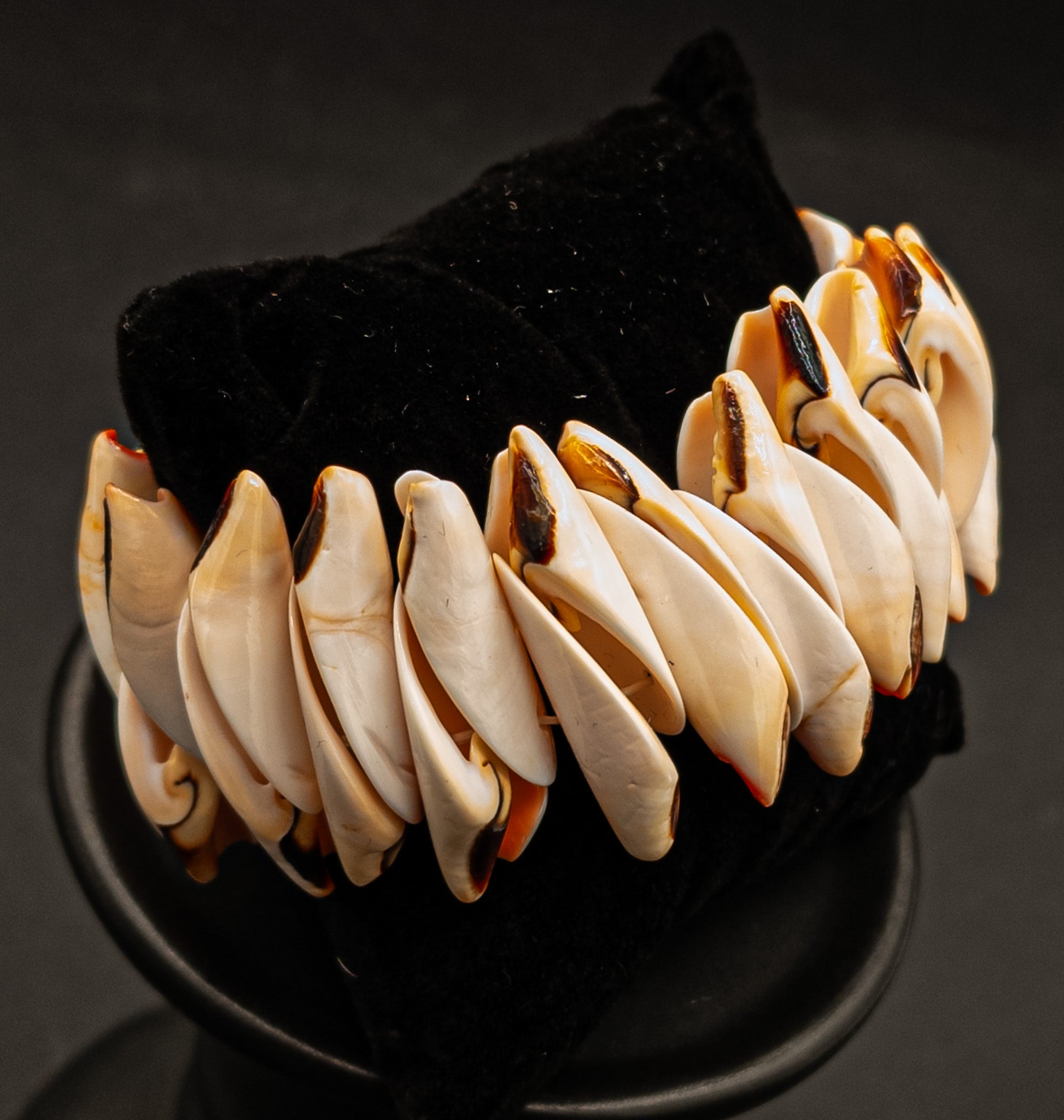 Conch Shell Stretch Bracelet