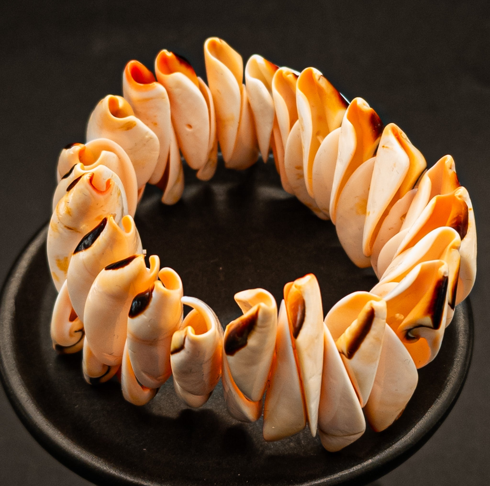 Conch Shell Stretch Bracelet