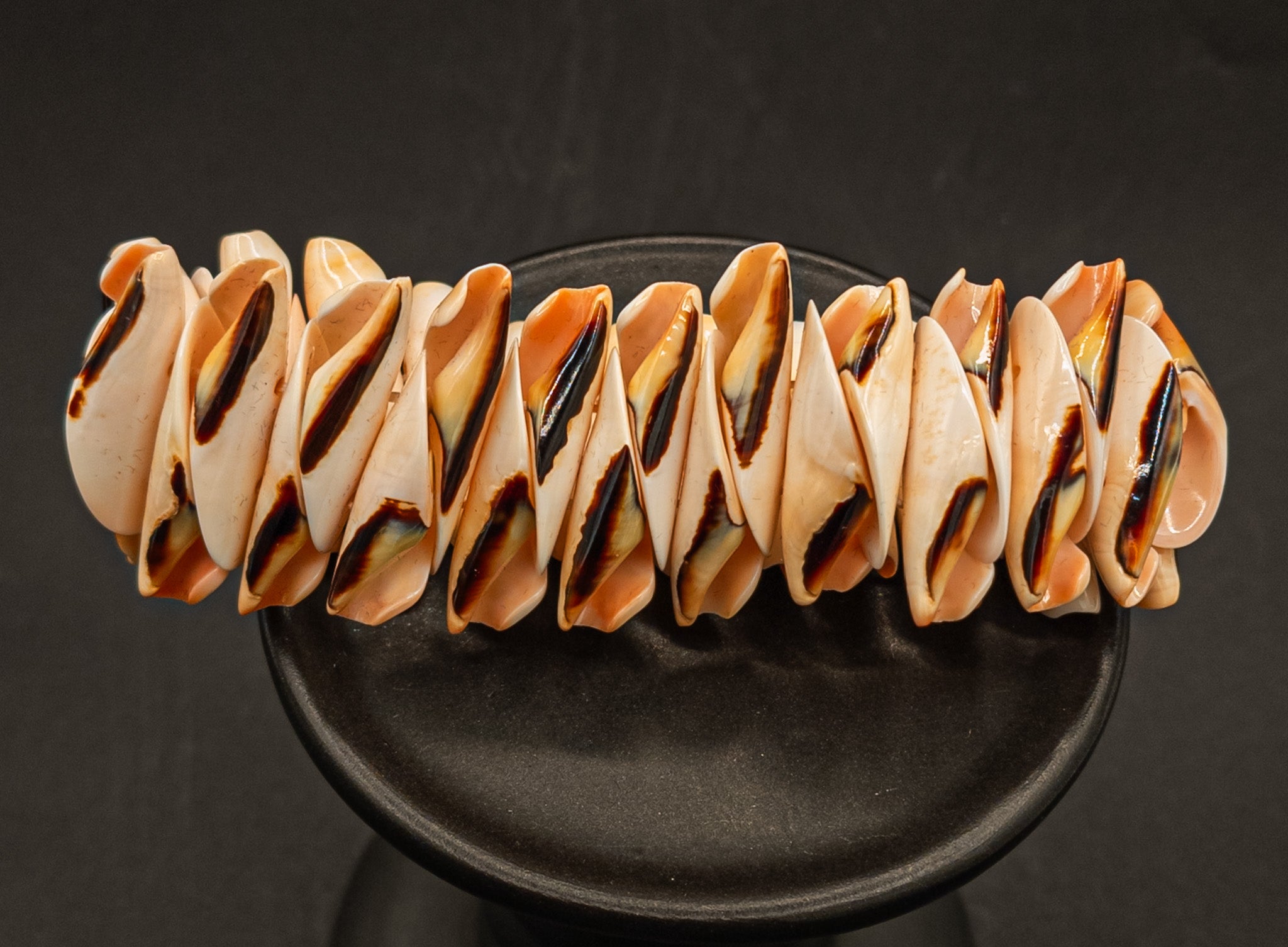 Conch Shell Stretch Bracelet