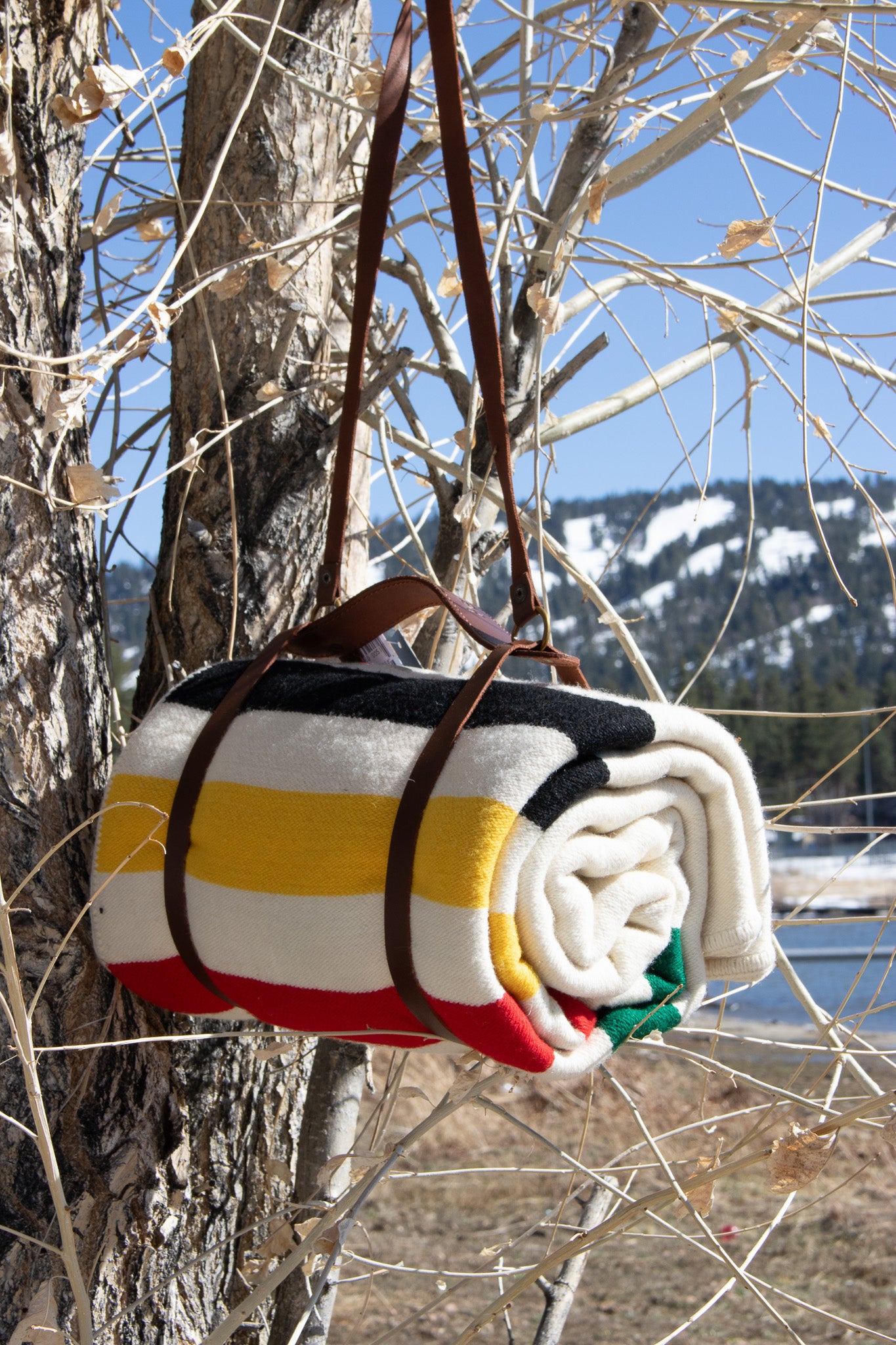 Pendleton National Park Throw Blanket with Leather Strap Acadia Classic Multi Color Stripes