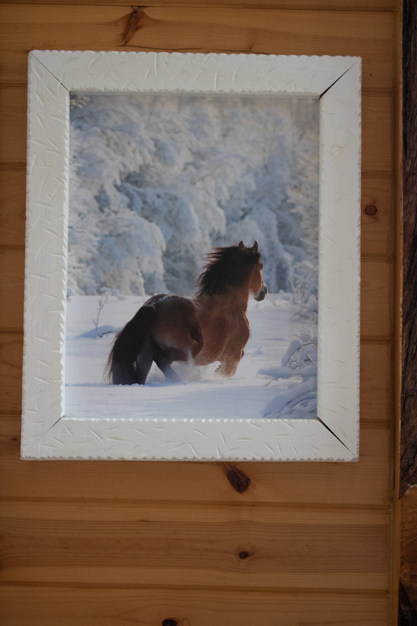 Beautifully Custom Made Frame canvas transfer featuring  a Majestic Horse frolicking off through the Snow Covered Landscape
