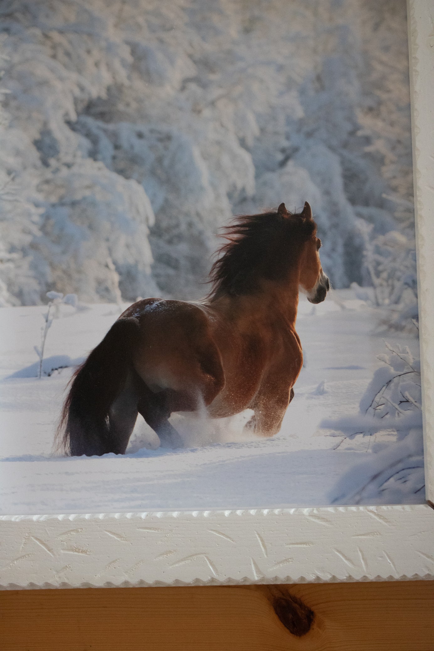 Beautifully Custom Made Frame canvas transfer featuring  a Majestic Horse frolicking off through the Snow Covered Landscape