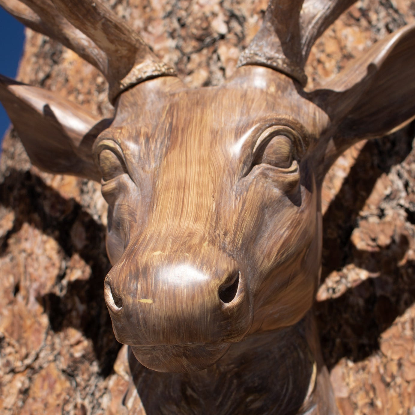 Resin 8 Point Deer Head Mount
