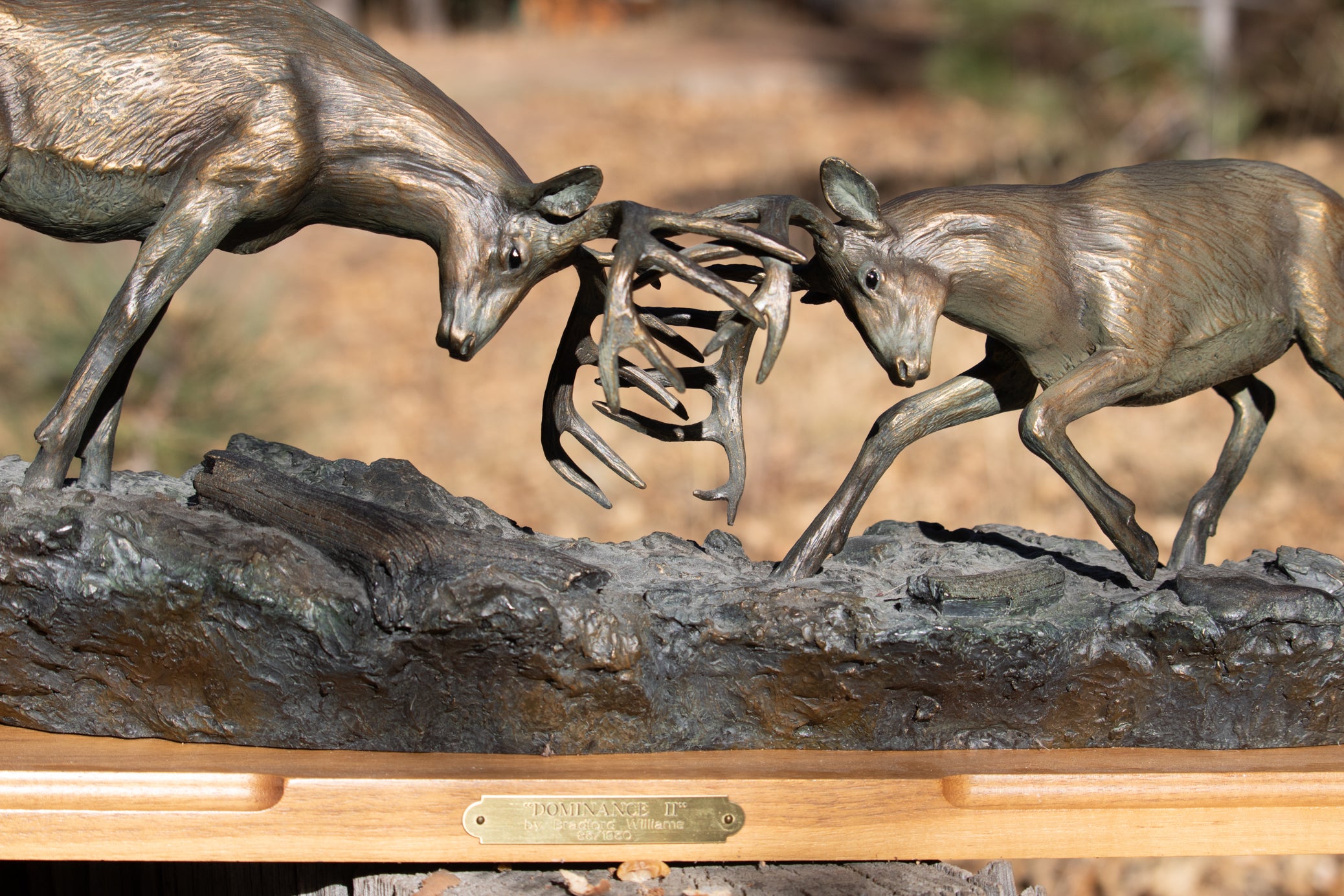 "Dominance II" By  Bradford Williams 85/ 1950.  Bronze sculpture depicts two fighting whitetail bucks