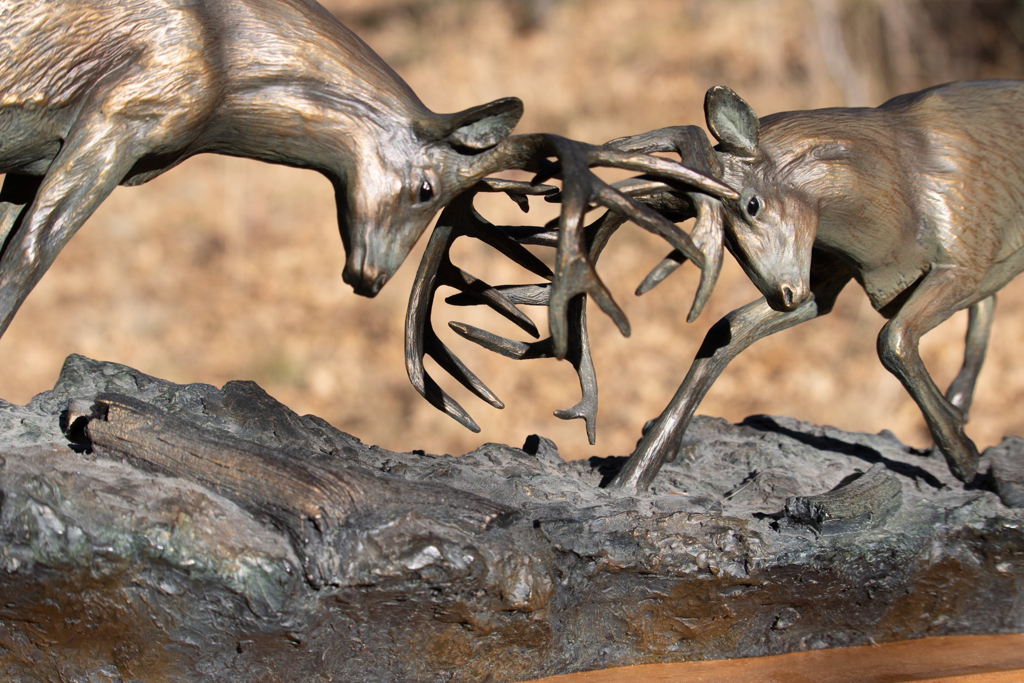 "Dominance II" By  Bradford Williams 85/ 1950.  Bronze sculpture depicts two fighting whitetail bucks