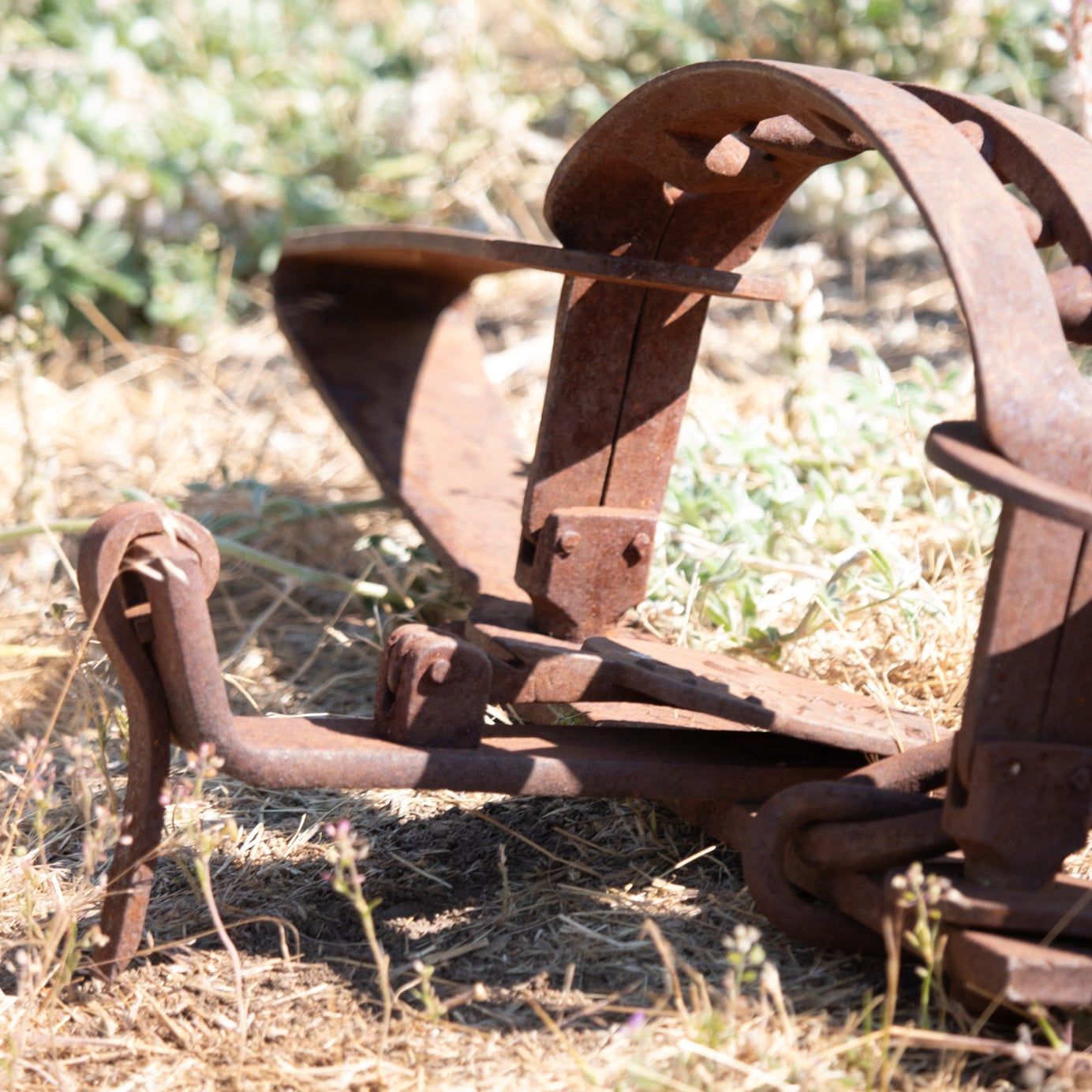 Rustic Rare 18th Century Machine Forged Bear Trap